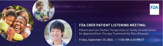 Patient and Care Partner Perspectives on Safety Considerations for Approved Gene Therapy Treatments for Rare Disease