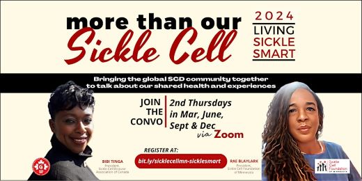 more than our scd series flyer